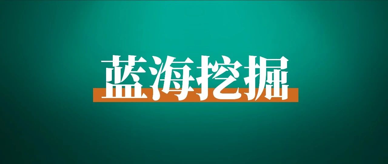 刘小排：如何从自己熟悉的领域中找到蓝海？